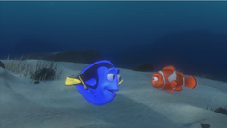 Marlin and Dory meet.