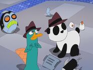 Perry y Peter