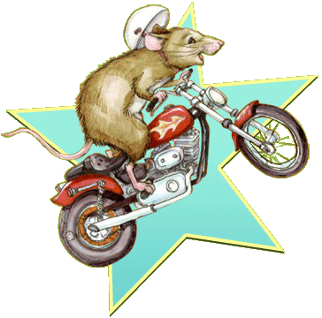 Mouse on a motorcycle new arrivals