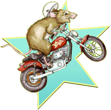 The Mouse and the Motorcycle - Wikipedia