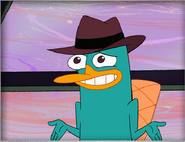 Perry lo siento