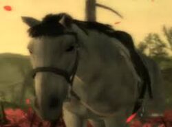 The boss's horse mgs3