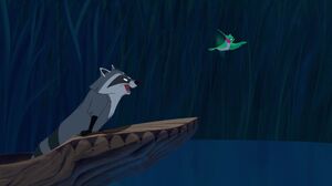 Meeko and Flit excited as they travel on the river.