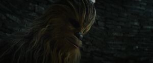 Sad Chewie