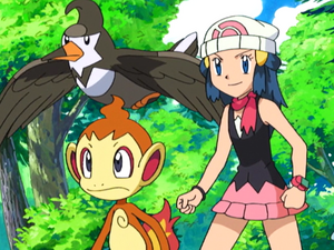 Dawn, Chimchar, and Staravia