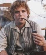 Samwise Gamgee (The Lord of the Rings trilogy)