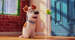 Secret-life-pets-disneyscreencaps.com-820