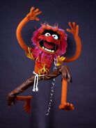 Animal (Muppets)