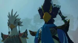 Revali sighs