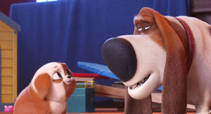 Secretlifeofpets2-animationscreencaps.com-5114