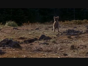 All three orphans with their adoptive mother & sibling.