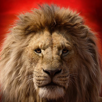 Mufasa 2019 Heroes Wiki Fandom