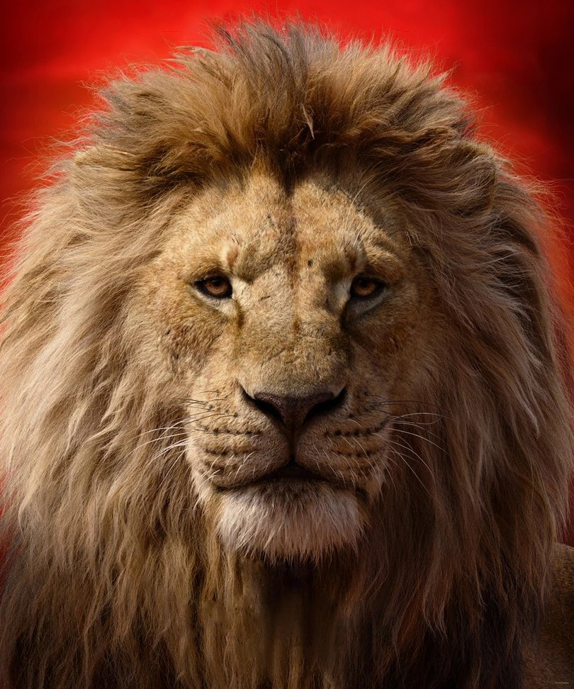 Mufasa 19 Heroes Wiki Fandom