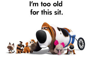 I'm too old for this sit. - The Secret Life of Pets 2 poster