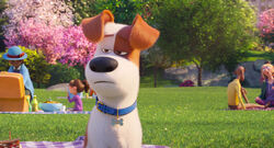 Secretlifeofpets2-animationscreencaps.com-79