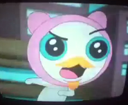 meap salva a seatle