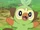 Grookey (Pokémon)