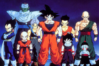 Z Fighters, Dragon Ball Net-Work Wiki