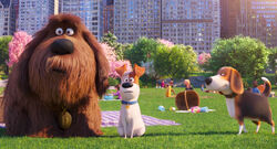 Secretlifeofpets2-animationscreencaps.com-109