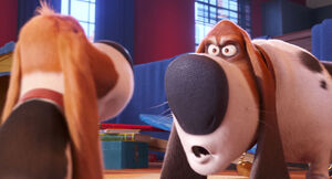 Secretlifeofpets2-animationscreencaps.com-4990