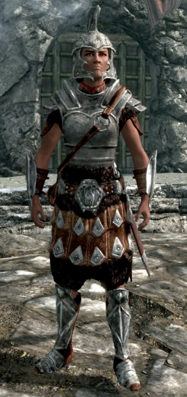 Skyrim Guard - Link