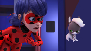 Ladybug and Kaalki