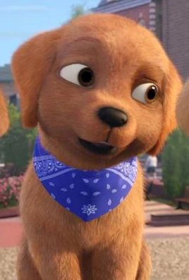 The Great Puppy Adventure