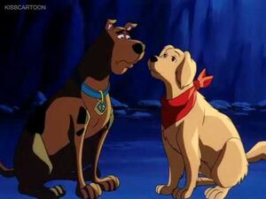 Scooby and Amber