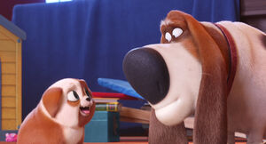 Secretlifeofpets2-animationscreencaps.com-5117