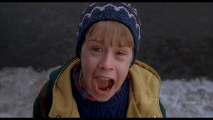 Kevin screams, after the Wet/Sticky Bandits confront him in New York City.