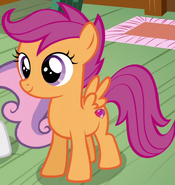 Scootaloo (My little Pony: Friendship is Magic)