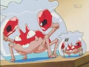 Gary's Krabby