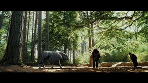 Harry successfully getting Buckbeak to bow to him.