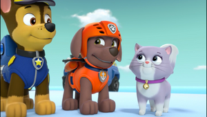 Zuma (PAW Patrol)/Gallery