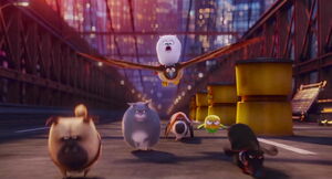 Secret-life-pets-disneyscreencaps.com-8349