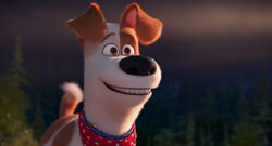 Max smiles at Gidget