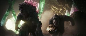 Godzilla and Kong charge together