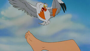 Scuttle startled when Sebastian angrily blurts out Ariel now has legs, which causes him to finally notice Ariel's legs.