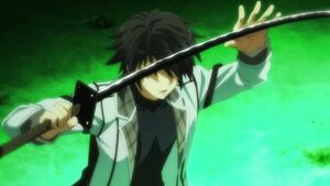 Ikki kurogane, Wiki