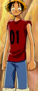 Luffy's first outfit in One Piece Film: Chopper's Kingdom on the Island of Strange Animals.