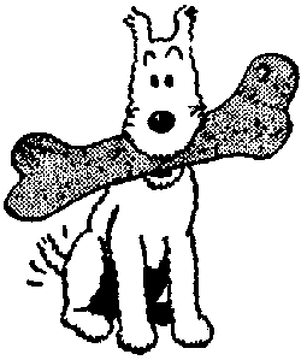 Name of tintin dog sales