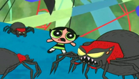 Buttercup get scared of the spiders
