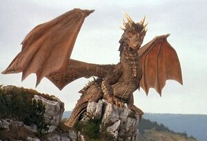 Draco the dragon