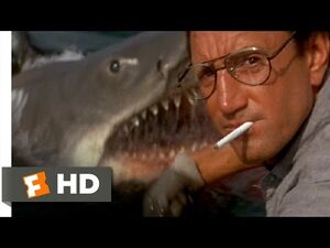 Jaws (1975) - You're Gonna Need a Bigger Boat Scene (4-10) - Movieclips