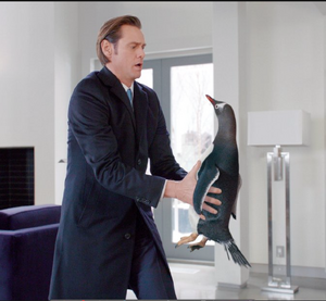 Popper receives the first penguin in the mail.