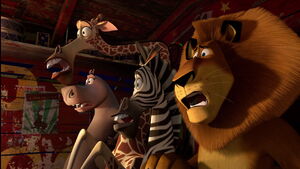 Madagascar3-disneyscreencaps.com-2959