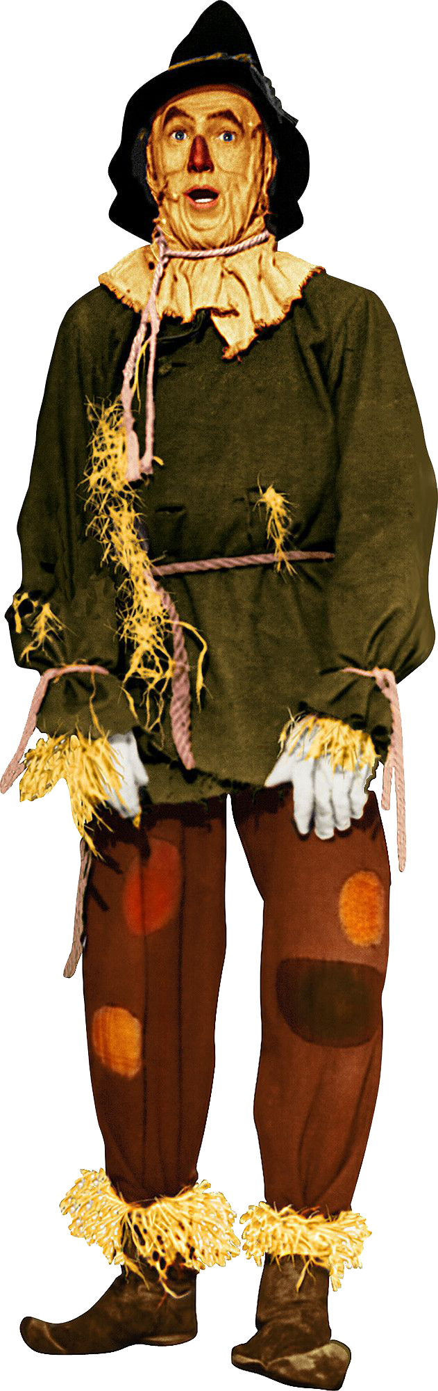 Scarecrow Oz Heroes Wiki Fandom