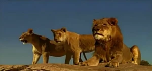 Dbv6plz-96837a1f-fde7-438c-b39c-a8d5b5b5edb4.png (306 KB) Young adult Suki with Macheeba and Linus