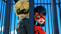 Mr. Pigeon - Cat Noir and Ladybug 03