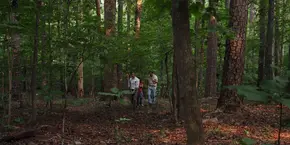 Joyce, Hopper, and Alexei walking in the woods.